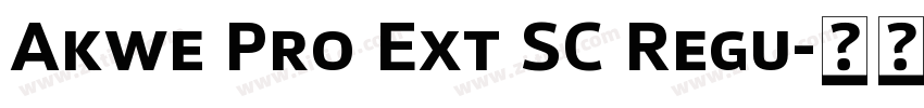 Akwe Pro Ext SC Regu字体转换